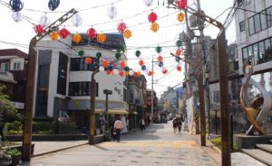 Đường Quy Nhơn dài 300 m ở Seoul được nhật báo Hàn mệnh danh "little Việt Nam", tập trung nhiều hàng quán Việt, thu hút khách địa phương và quốc tế.