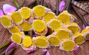 Ướp trà sen giá hàng chục triệu đồng một kg