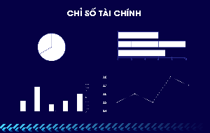 13 chỉ số tài chính người kinh doanh cần hiểu rõ