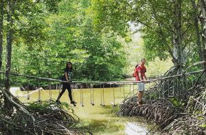 Du lịch | Nét mới của du lịch Cần Giờ