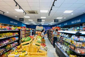 Nova Market - một thế lực mới