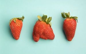 Nhận “xấu” để bán được hàng xấu