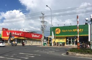 So sánh 2 chuỗi bán lẻ hàng đầu: WinMart/WinMart+ và Bách Hóa Xanh